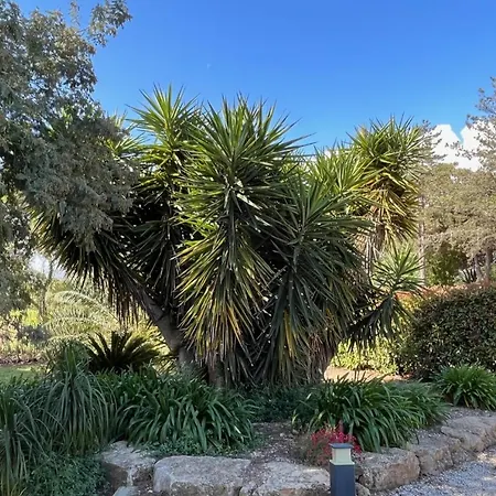 Maison A 400 M De La De Pampelonne Villa
